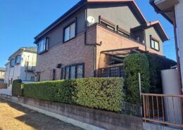 生垣剪定後｜目隠し植栽を整えた戸建て外構（三郷市）