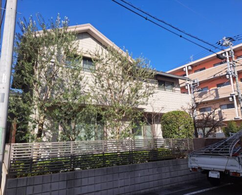 埼玉県三郷市の戸建て住宅にて、剪定後のオリーブ系常緑樹。透かし剪定により外構全体が明るくなった状態