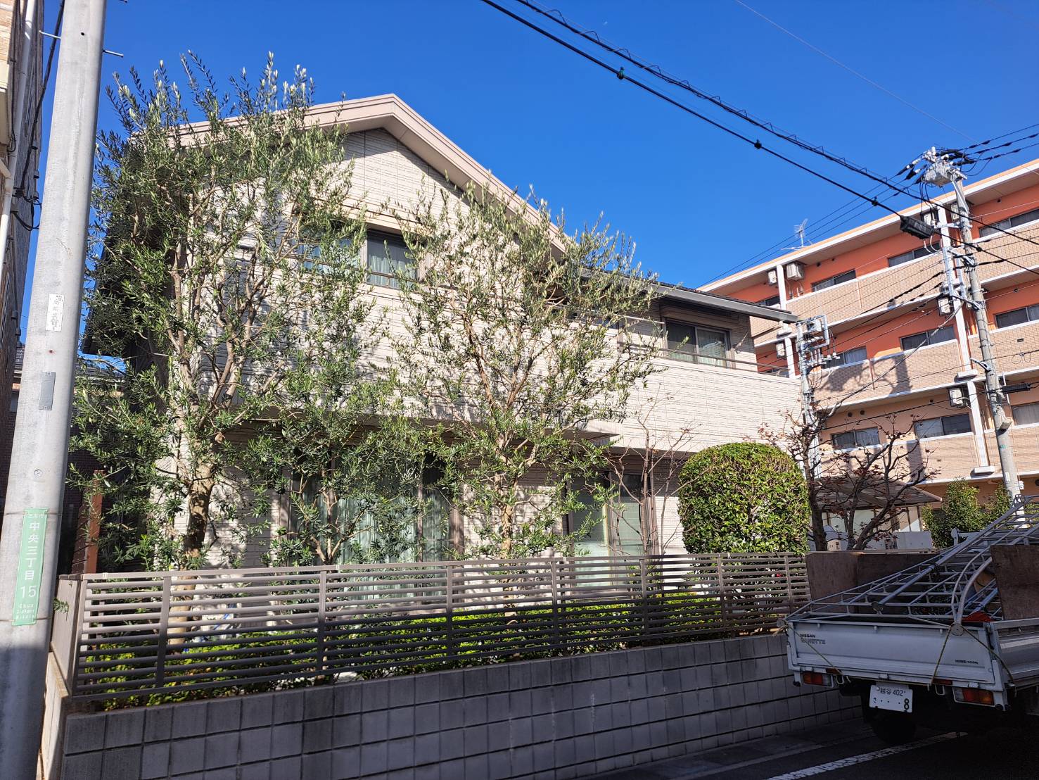 埼玉県三郷市の戸建て住宅にて、剪定後のオリーブ系常緑樹。透かし剪定により外構全体が明るくなった状態